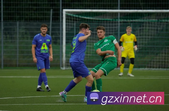 开云kaiyun全站App